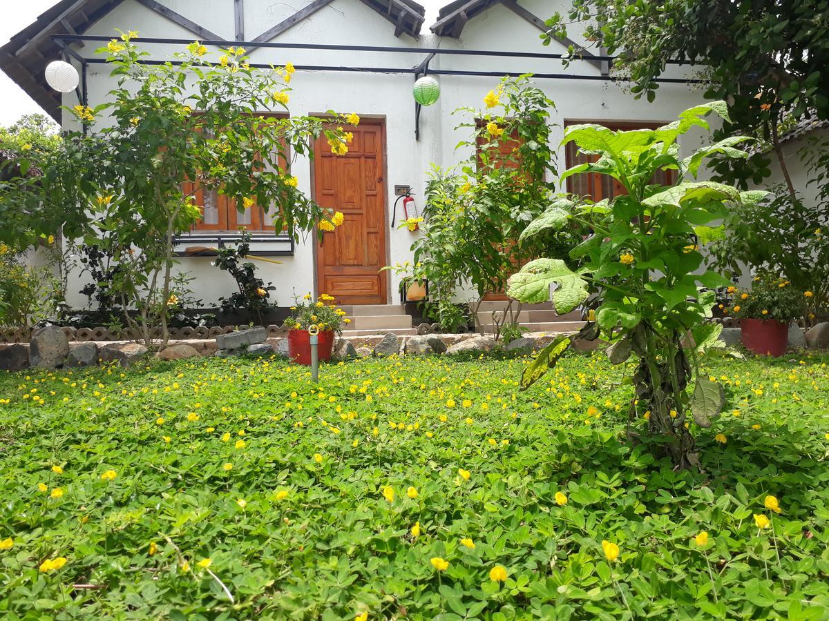 Dao Hoa Vang Villa Cam Ranh Eksteriør billede