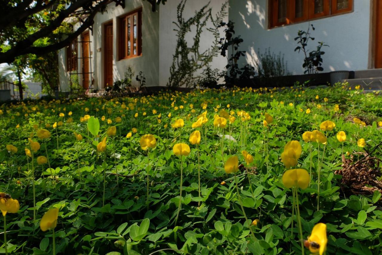 Dao Hoa Vang Villa Cam Ranh Eksteriør billede