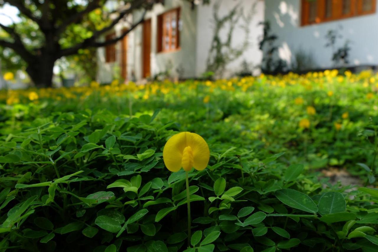 Dao Hoa Vang Villa Cam Ranh Eksteriør billede