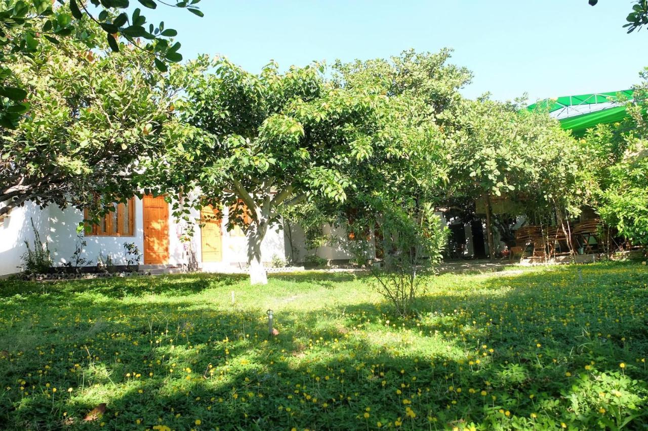 Dao Hoa Vang Villa Cam Ranh Eksteriør billede